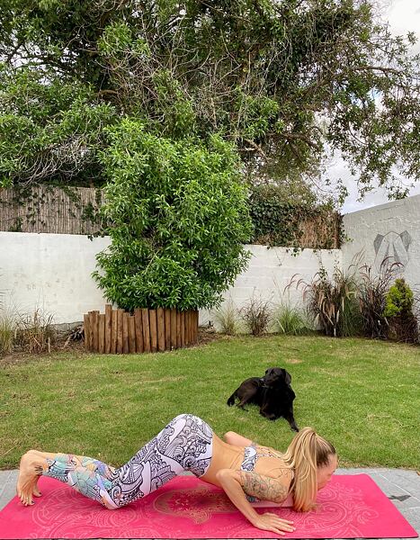 Pozdrav slunci, Ashtanga Namaskara - Pozice píďalka