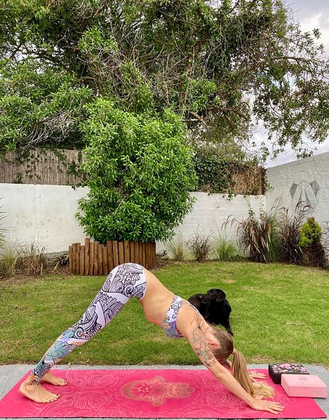 Pozdrav slunci, Urdhva Mukha Svanasana - Pes s hlavou dolu