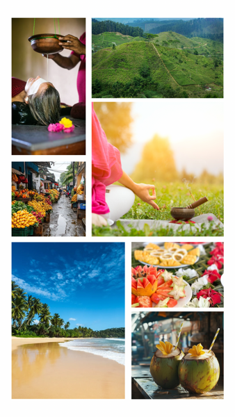 Jóga & Ajurvéda na Srí lance