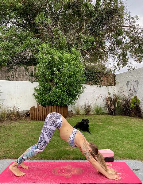 Pozdrav slunci, Urdhva Mukha Svanasana - Pes s hlavou dolu