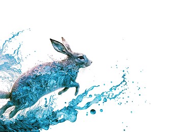 Co přinese čínský nový rok 2023 vodního Zajíce?